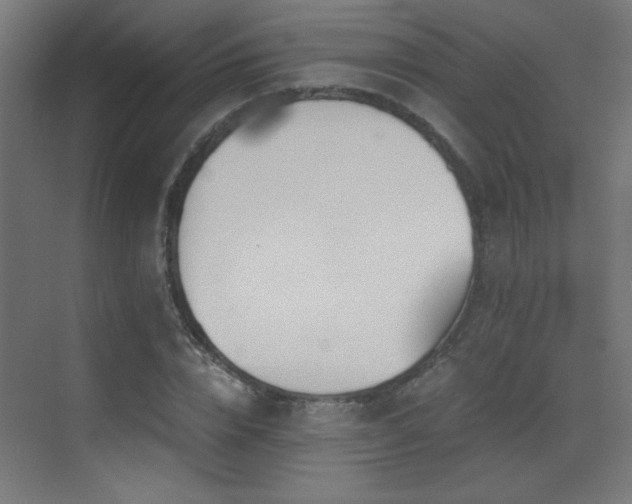 X0000073450832200607281219