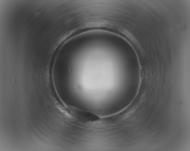 X0000073450834200607281219