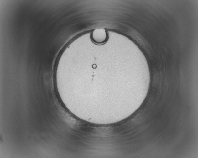 X0000073450836200607281219