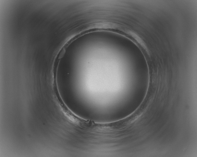 X0000073450837200607281219