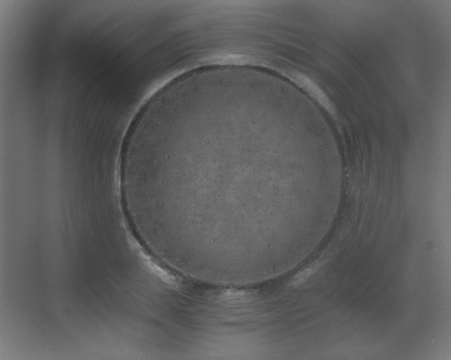 X0000073450839200607281219