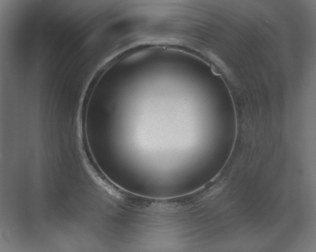 X0000073450840200607281219