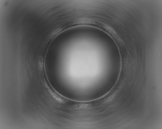 X0000073450841200607281219