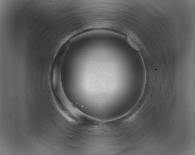 X0000073450842200607281219