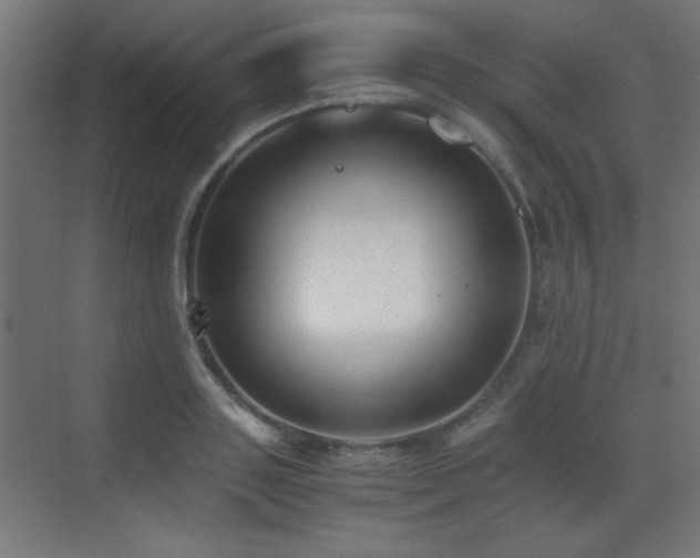 X0000073450843200607281219