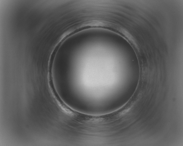 X0000073450845200607281219