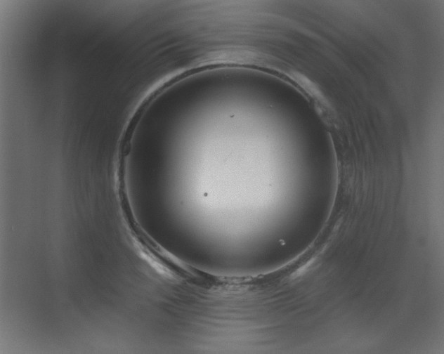 X0000073450846200607281219