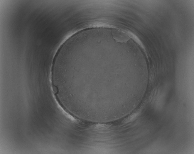 X0000073450847200607281219