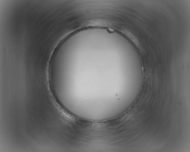 X0000073450848200607281219