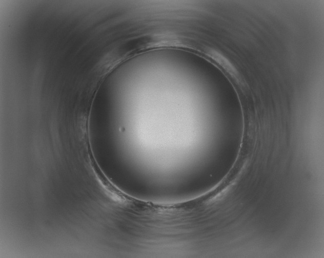 X0000073450849200607281219