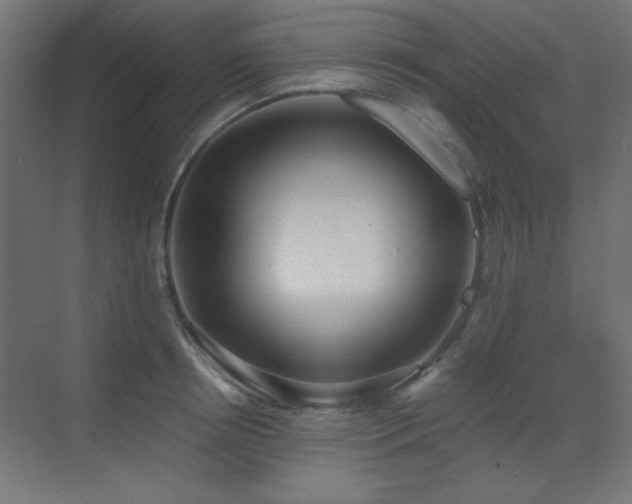 X0000073450850200607281219