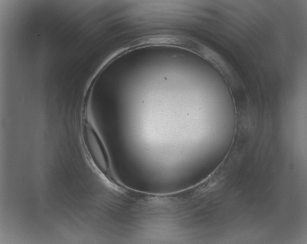 X0000073450852200607281219