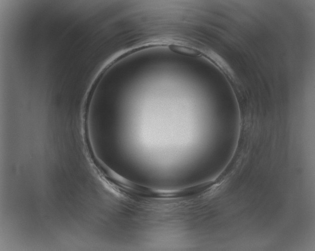 X0000073450854200607281219