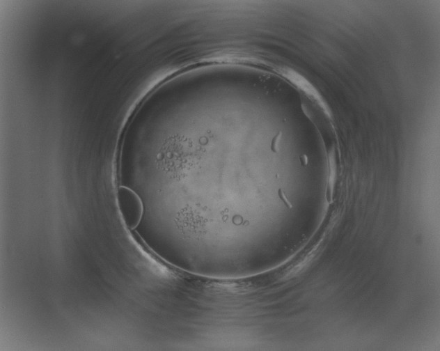 X0000073450855200607281219