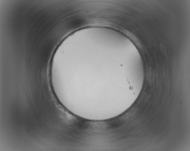 X0000073450856200607281219