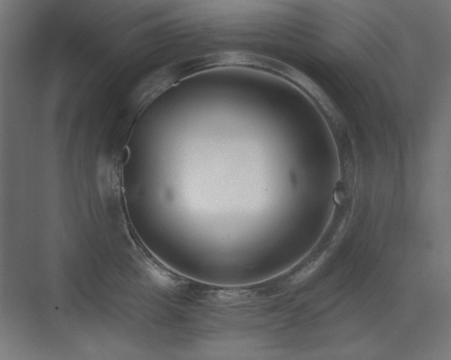 X0000073450857200607281219