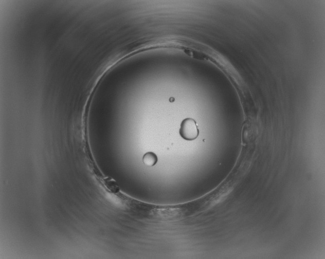 X0000073450858200607281219