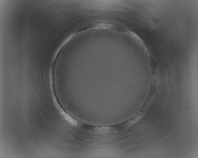 X0000073450859200607281219