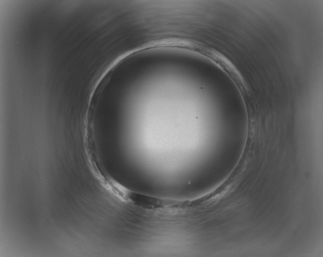 X0000073450860200607281219