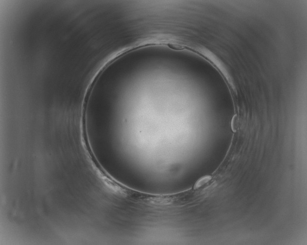 X0000073450861200607281219