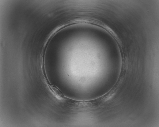 X0000073450862200607281219