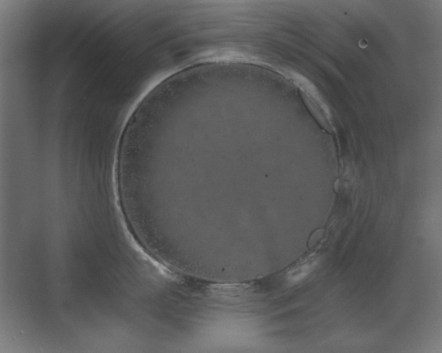 X0000073450863200607281219