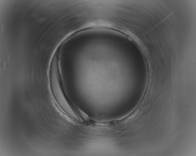 X0000073450864200607281219