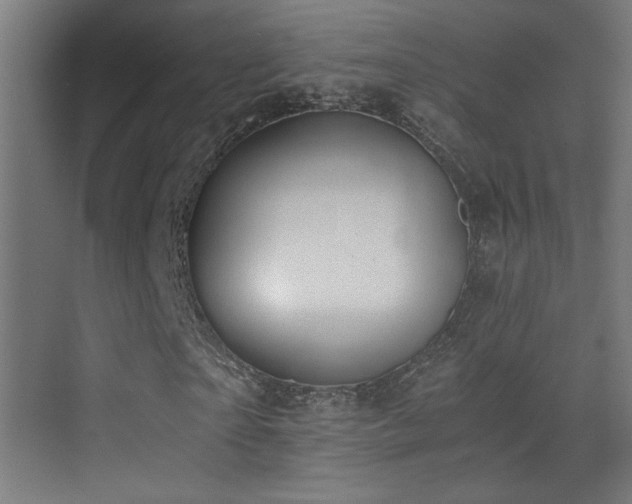 X0000073450865200607281218