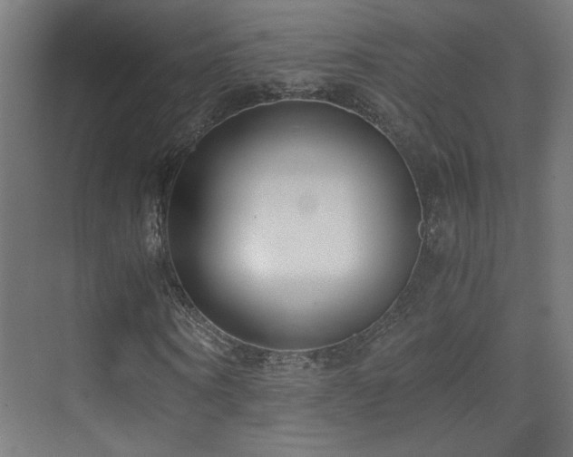 X0000073450866200607281218