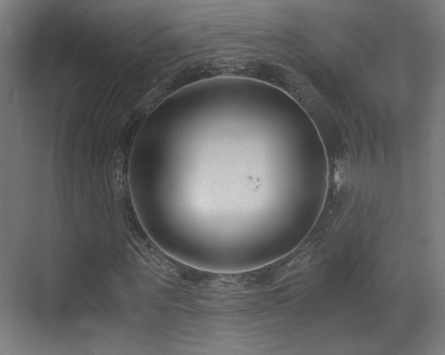 X0000073450867200607281218