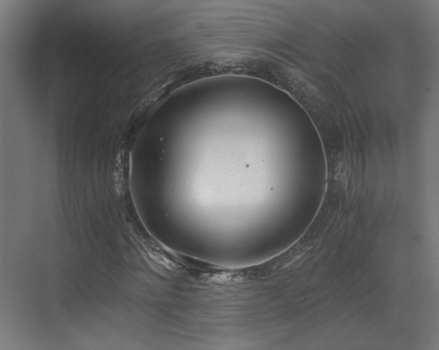 X0000073450868200607281218