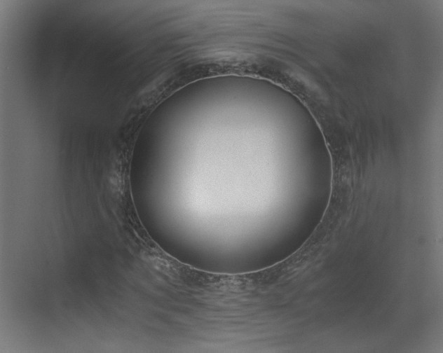 X0000073450869200607281218