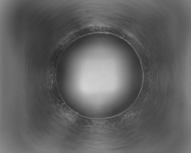 X0000073450870200607281218