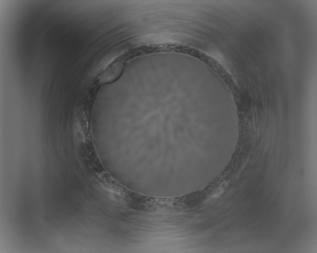 X0000073450871200607281218