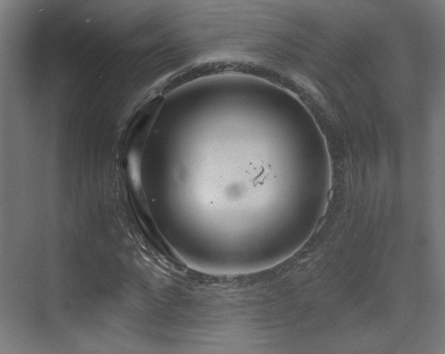 X0000073450872200607281218