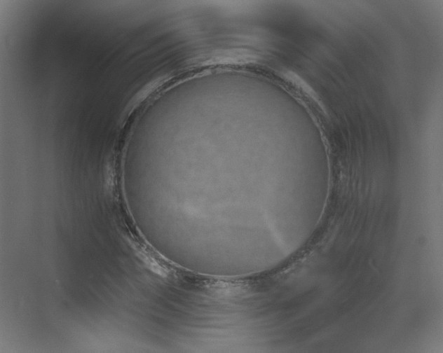 X0000073450874200607281218