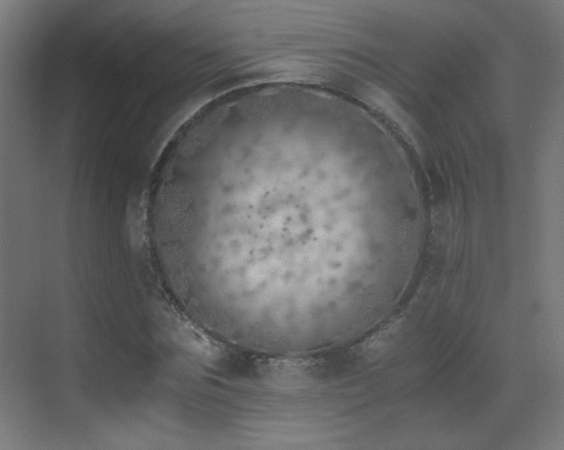 X0000073450875200607281218