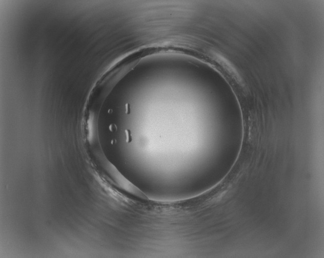 X0000073450876200607281218