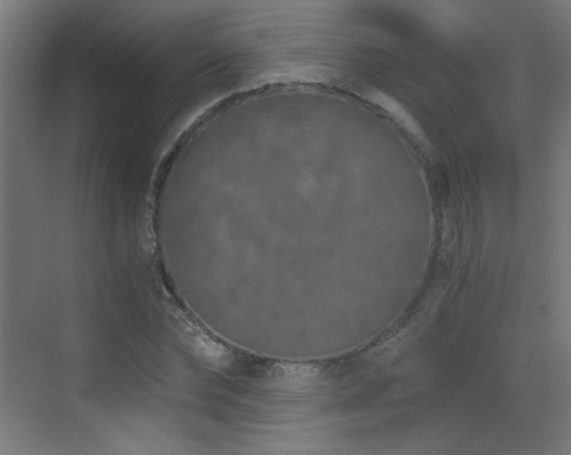 X0000073450878200607281218