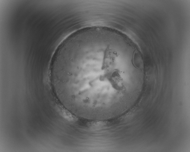 X0000073450879200607281218