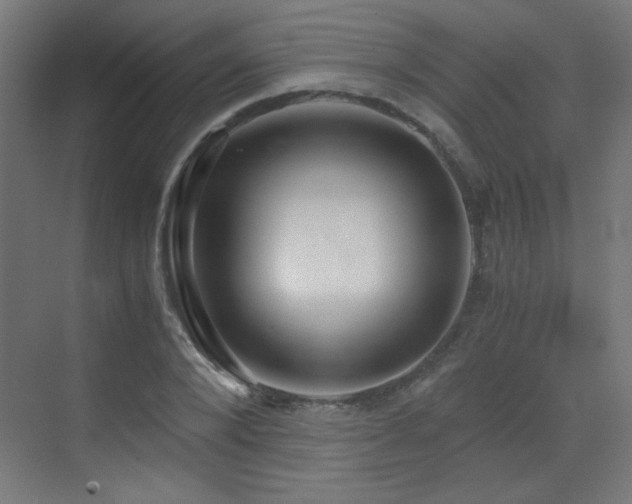 X0000073450880200607281218