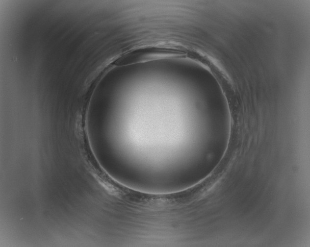 X0000073450881200607281218