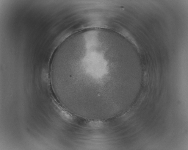 X0000073450882200607281218