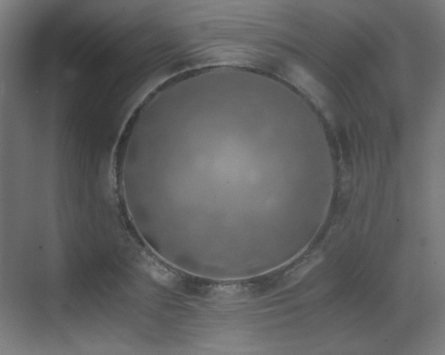 X0000073450883200607281218