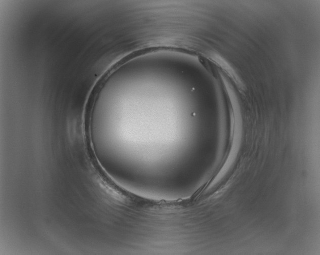 X0000073450884200607281218