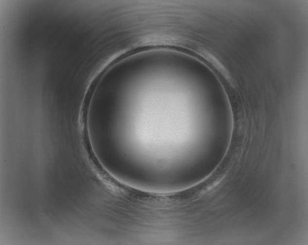 X0000073450885200607281218