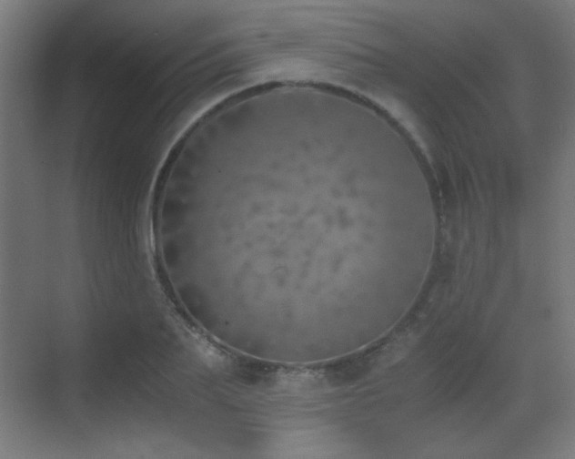 X0000073450887200607281218