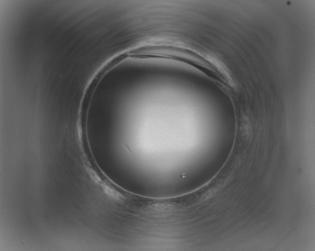 X0000073450888200607281218