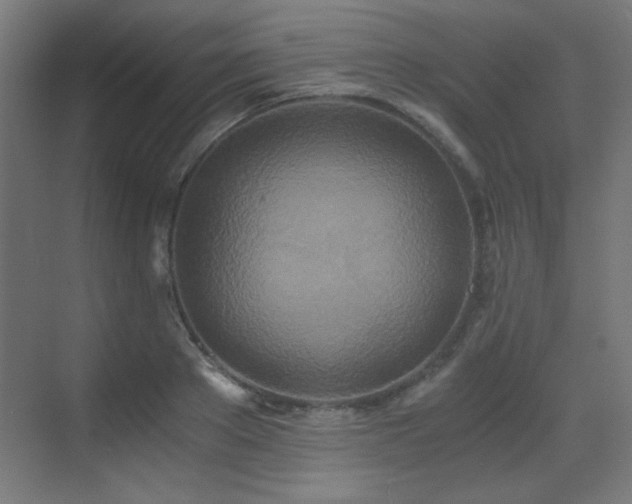 X0000073450889200607281218