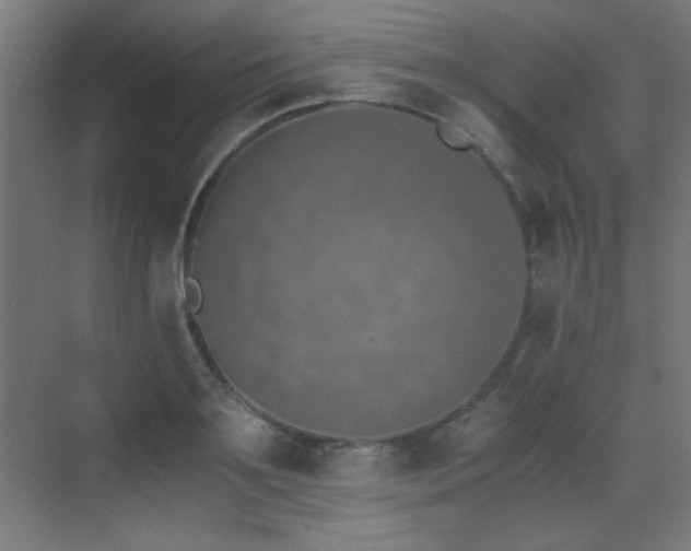 X0000073450891200607281218